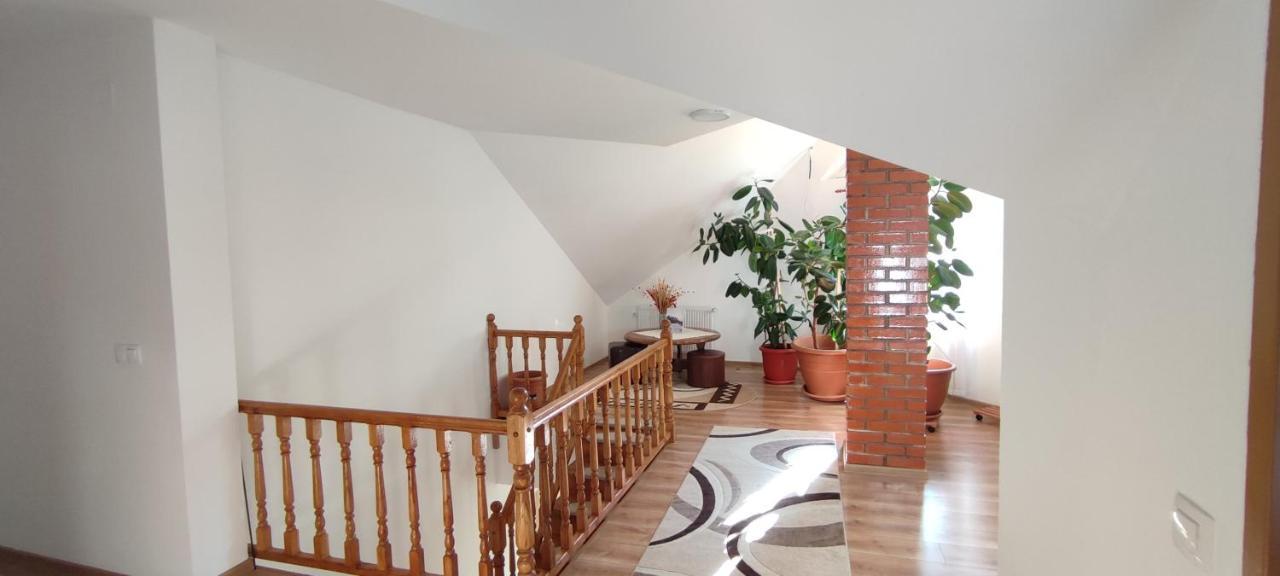Olt-Part Vendeghaz Hotel Бъйле Тушнад Екстериор снимка