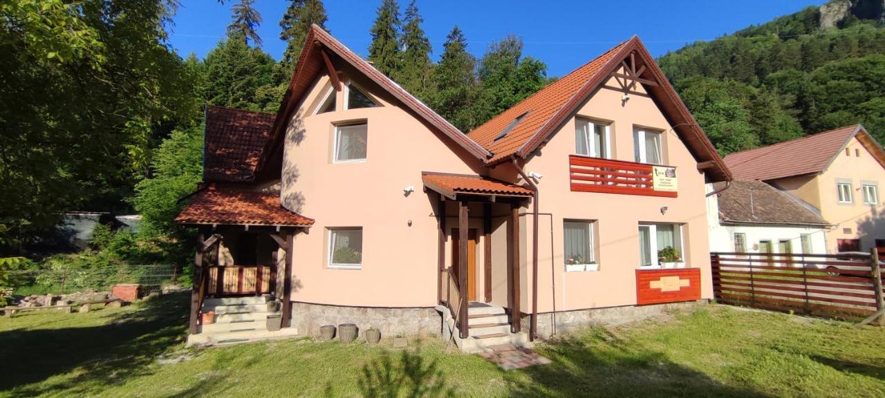 Olt-Part Vendeghaz Hotel Бъйле Тушнад Екстериор снимка