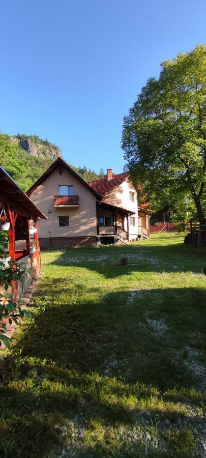 Olt-Part Vendeghaz Hotel Бъйле Тушнад Екстериор снимка
