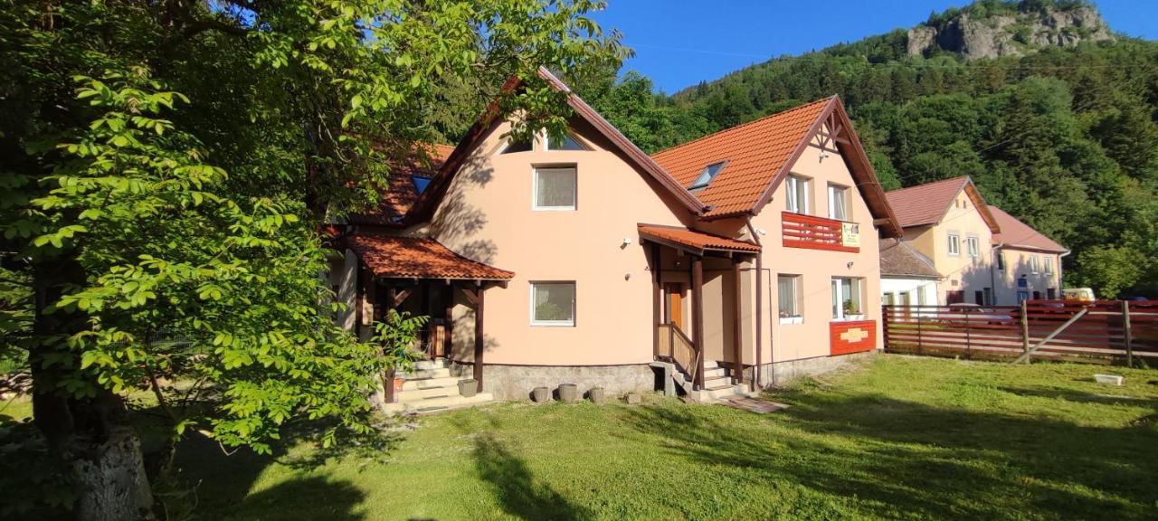 Olt-Part Vendeghaz Hotel Бъйле Тушнад Екстериор снимка