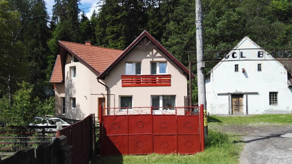 Olt-Part Vendeghaz Hotel Бъйле Тушнад Екстериор снимка